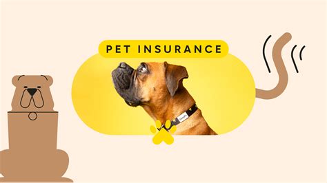 pet insurance use immediately reviews.